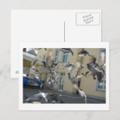 Flutter Briefkaart (Voorkant / Achterkant)