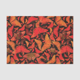 Flutterby Herfst Butterflies op Black Tissuepapier