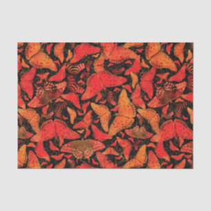 Flutterby Herfst Butterflies op Black Tissuepapier