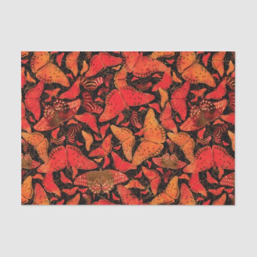 Flutterby Herfst Butterflies op Black Tissuepapier (Voorkant)