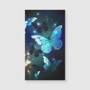 Fluttering Night Butterfly