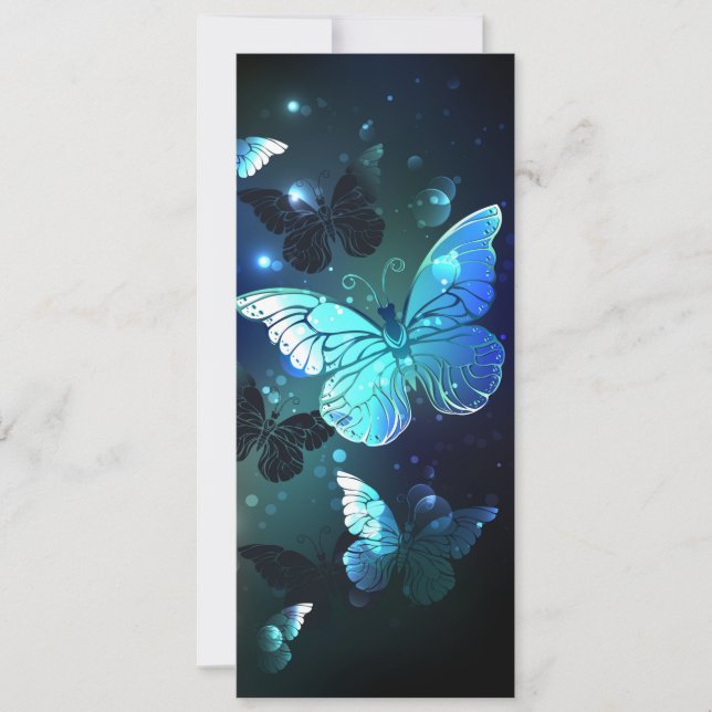 Fluttering Night Butterfly (Voorkant)