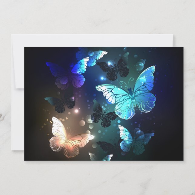 Fluttering Night Butterfly (Voorkant)