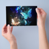 Fluttering Night Butterfly Flyer (Hand)