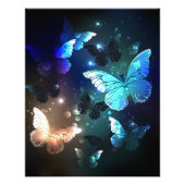 Fluttering Night Butterfly Foto Afdruk (Voorkant)