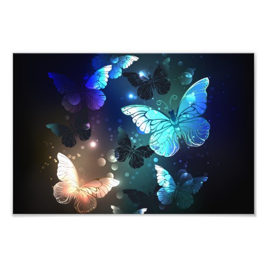 Fluttering Night Butterfly Foto Afdruk (Voorkant)
