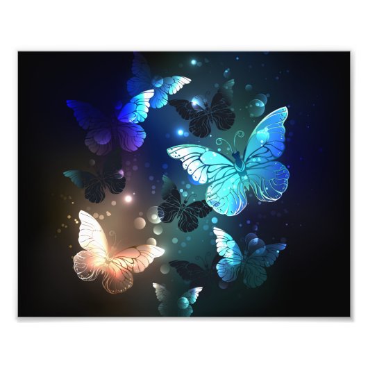 Fluttering Night Butterfly Foto Afdruk (Voorkant)