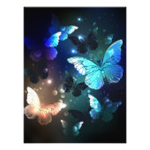 Fluttering Night Butterfly Foto Afdruk (Voorkant)