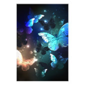 Fluttering Night Butterfly Foto Afdruk (Voorkant)
