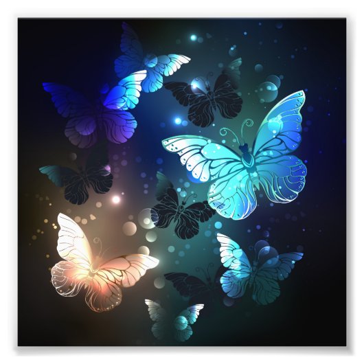 Fluttering Night Butterfly Foto Afdruk (Voorkant)