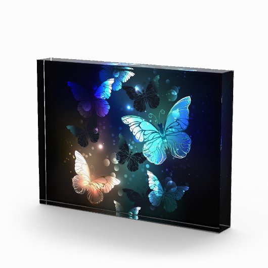 Fluttering Night Butterfly Fotoblokken (Rechts)