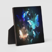 Fluttering Night Butterfly Fotoplaat (Voorkant)