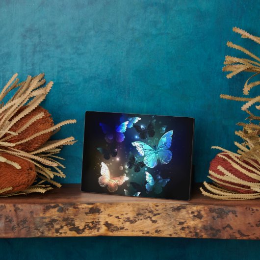 Fluttering Night Butterfly Fotoplaat (Zijkant)