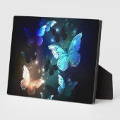Fluttering Night Butterfly Fotoplaat (Zijkant)