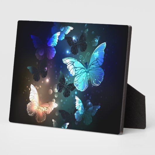 Fluttering Night Butterfly Fotoplaat (Zijkant)