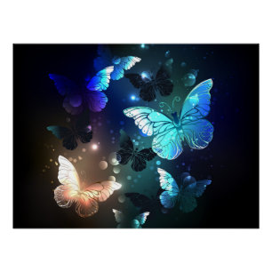 Fluttering Night Butterfly Perfect Poster