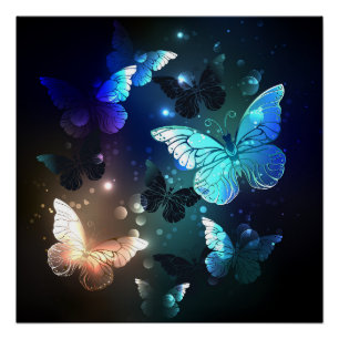 Fluttering Night Butterfly Perfect Poster