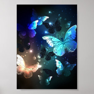 Fluttering Night Butterfly Poster