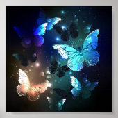 Fluttering Night Butterfly Poster (Voorkant)