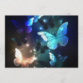 Fluttering Night Butterfly Programmakaart (Voorkant)