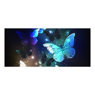 Fluttering Night Butterfly Reclamekaart