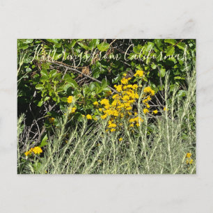 Flutterings uit Californië: Golden Yarrow Briefkaart