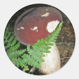 Fluweel Mushroom Stickers