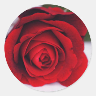 Fluweel Vuur Ronde Sticker