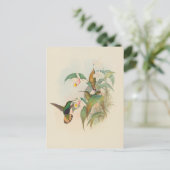 fluweelachtige borst met gebufferde staart | John  Briefkaart (Staand voorkant)