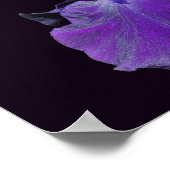 Fluweelachtige Paarse baardIris Flower Art Poster (Hoek)