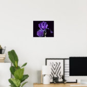 Fluweelachtige Paarse baardIris Flower Art Poster (Thuiskantoor)
