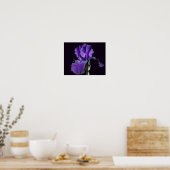 Fluweelachtige Paarse baardIris Flower Art Poster (Keuken)