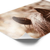 Fluweelbruine paardenoren en pony's foto afdruk (Hoek)