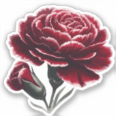 Fluweelrode anjers BloemenAquarel Sticker (Voorkant)