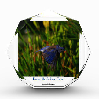 Fluwelen blauwe vogel die voor ontluikende iris vl fotoblokken