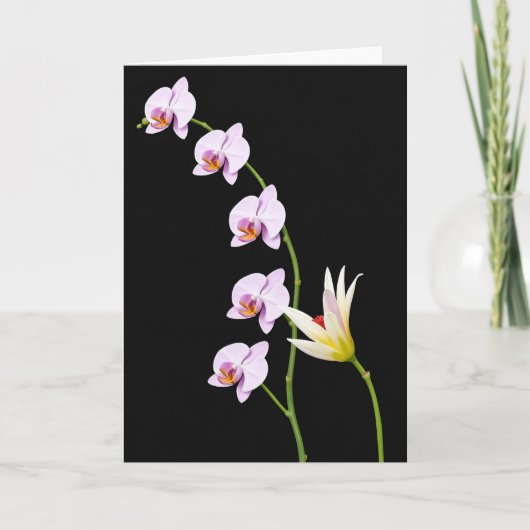 Fluwelen Bloem Kaart (Voorkant)