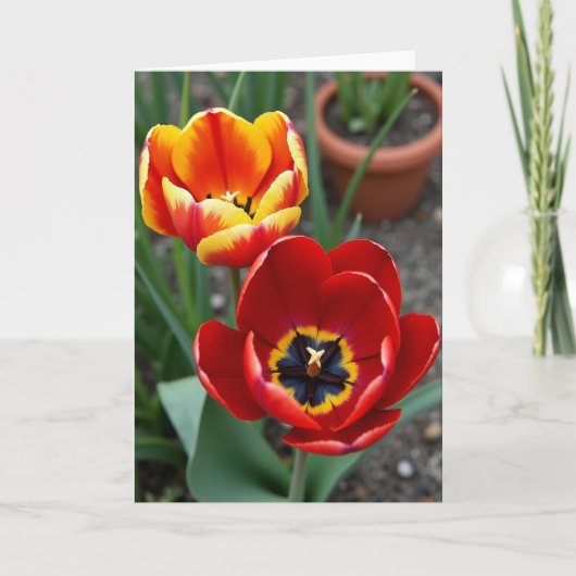 Fluwelen Bloem Verjaardagskaart Kaart (Voorkant)