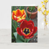Fluwelen Bloem Verjaardagskaart Kaart (Gele Bloem)