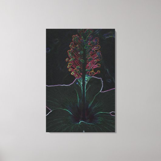 fluwelen, gekleurde bloem canvas afdruk (Voorkant)