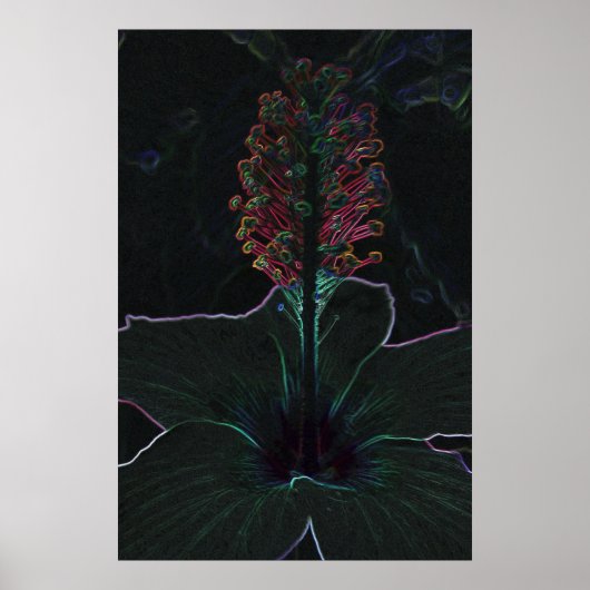 fluwelen, gekleurde bloem poster (Voorkant)