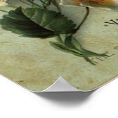 fluwelen huidzeep poster (Hoek)