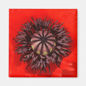 fluwelen kern magneet (Voorkant)