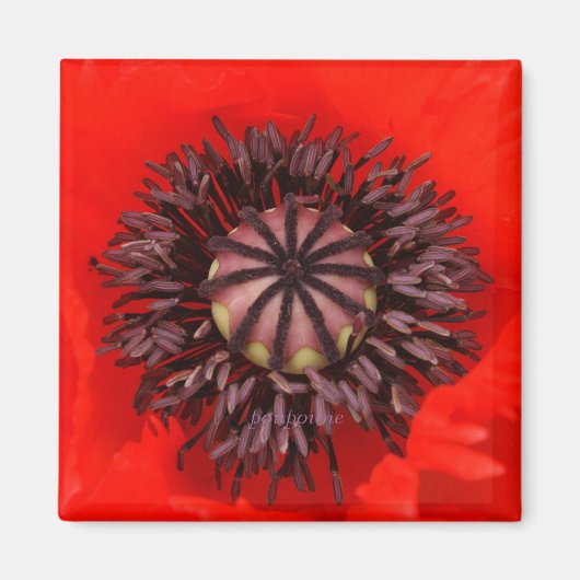 fluwelen kern magneet (Voorkant)