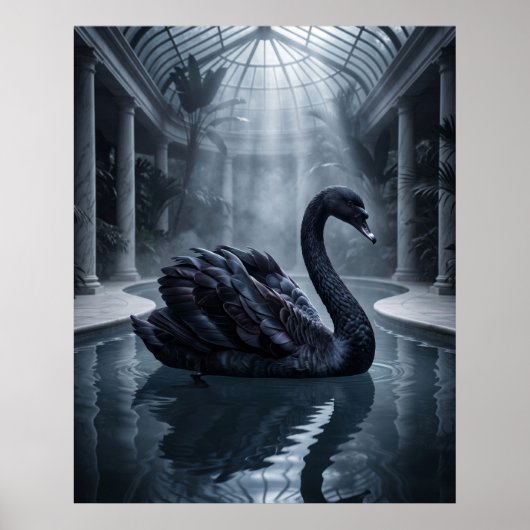 Fluwelen Zwanen Conservatorium Poster (Voorkant)