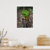 Fluwelig groen mos poster (Keuken)