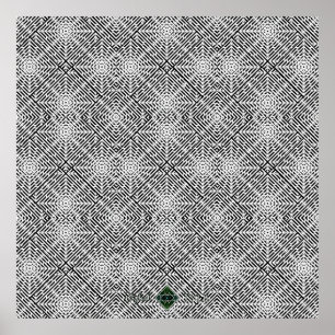 Flux-illusie Poster