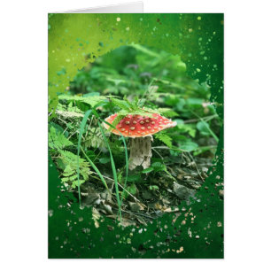 Fly Agaric - 5-inch x 7-inch Art Kaart
