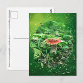 Fly Agaric - Briefkaart (Voorkant / Achterkant)