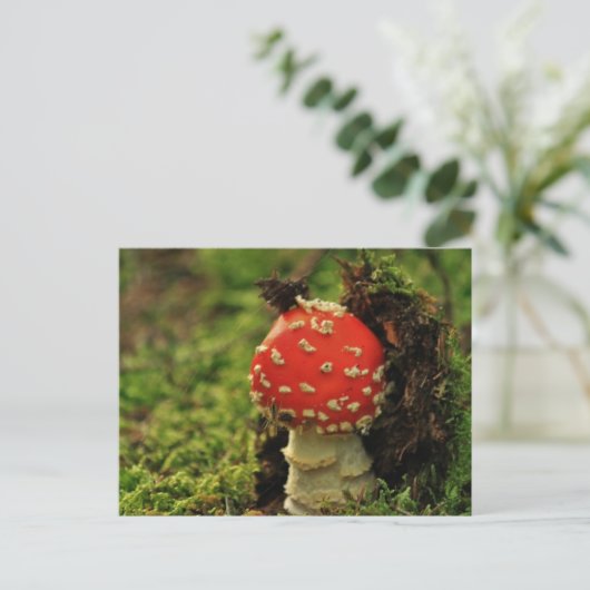Fly Agaric Briefkaart (Staand voorkant)