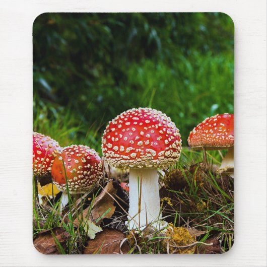 Fly agaric muismat (Voorkant)